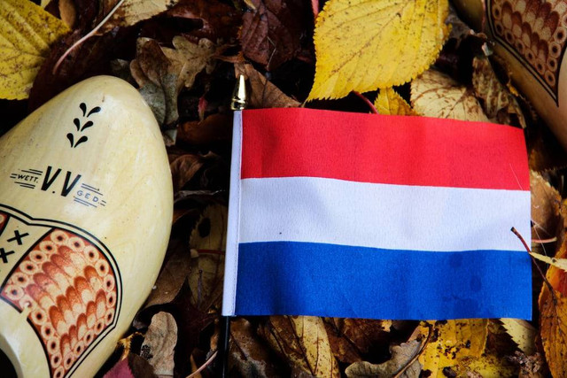 Cara Bangsa Belanda Mendapatkan Rempah-Rempah Sebelum Masuk ke Indonesia                                               Foto:Unsplash