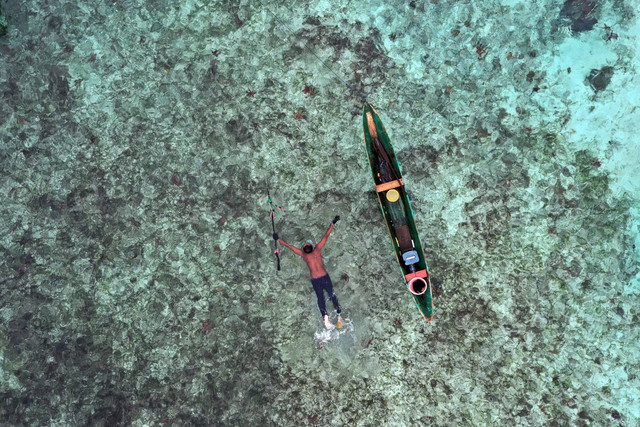 Pemanah ikan suku bajo, Taharudin, berenang menuju tubir karang di perairan Pulau Wangi-Wangi, Kabupaten Wakatobi. Foto: Indrianto Eko Suwarso/ANTARA FOTO