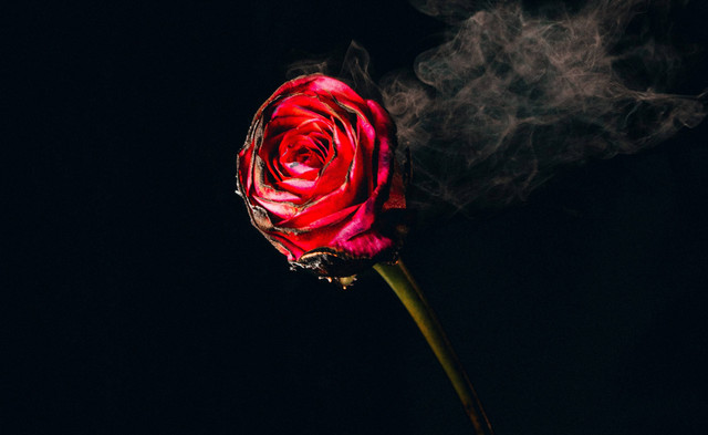 kata kata cinta tak berbalas. sumber foto : unsplash/jakob.