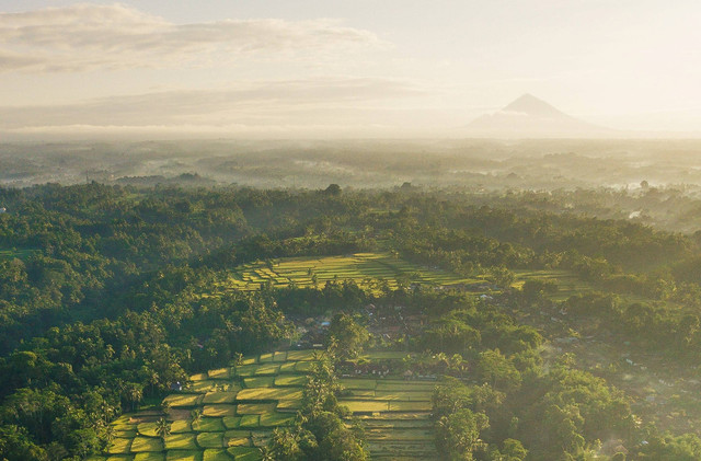 puisi alam indonesia. sumber foto : unsplash/silas.