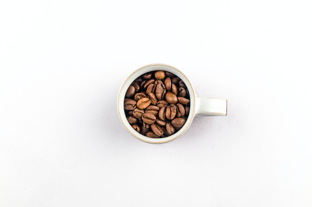 ilustrasi kopi luwak berasal dari