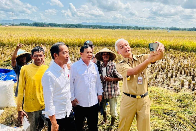 Presiden Jokowi didampingi Menhan Prabowo Subianto dan Gubernur Jateng Ganjar Pranowo saat meninjau panen raya padi di Desa Lajer, Kecamatan Ambal, Kabupaten Kebumen, Jawa Tengah, Kamis (9/3/2023). Foto: Laily Rachev/Biro Pers Sekretariat Presiden