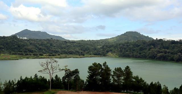 Ilustrasi Pola Lantai Tari Malulo adalah, Foto Pixabay Ignartonosbg