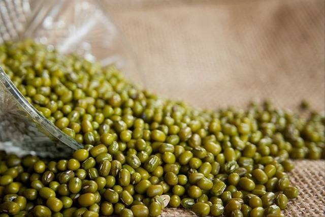 Ilustrasi kacang hijau. Foto: Pixabay.com