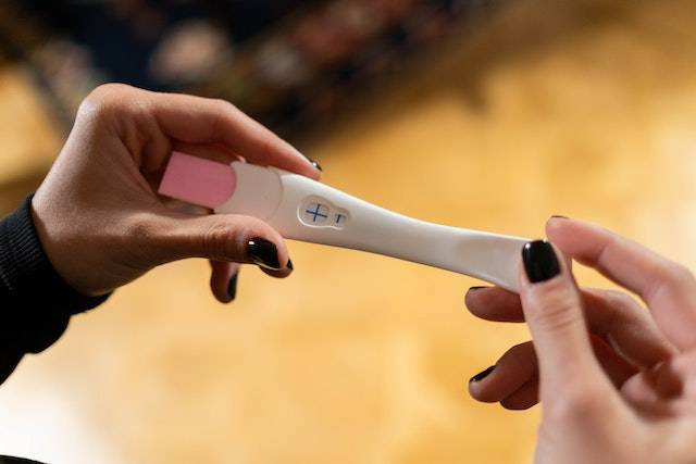 Ilustrasi apa itu fertilitas. Foto: Pexels/Cottonbro Studio