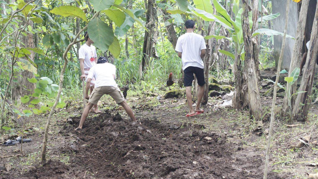 Relawan Orang Muda Ganjar menggelar penanaman empon-empon di Dusun Jatirejo, Desa Gari, Kecamatan Wonosari, Kabupaten Gunung Kidul, Daerah Istimewa Yogyakarta, Jumat (10/3). Foto: Dok. Istimewa
