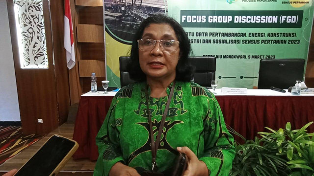 Kepala BPS Papua Barat Maritje Pattiwaellapia