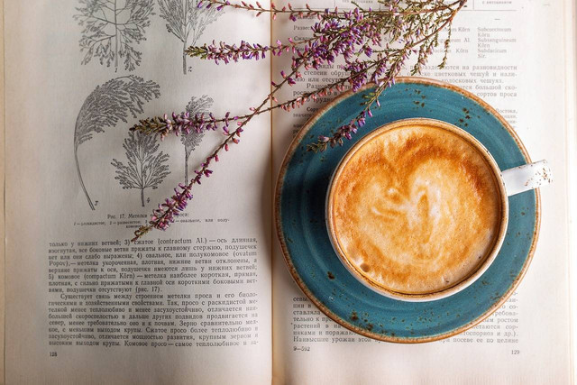 Ilustrasi 4 cara membuat latte art yang cocok untuk pemula. Sumber: Daria Yakovleva/pixabay.com 