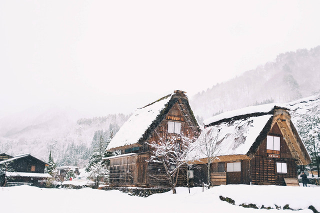 Ilustrasi Jawaban TTS untuk Kota Tujuan Wisata Musim Dingin di Jepang. Fabian Mardi (Unsplash)