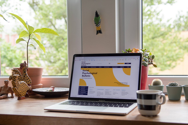 Ilustrasi Apa Kepanjangan Dari GUI. Foto: dok. Michał Parzuchowski (Unsplash)