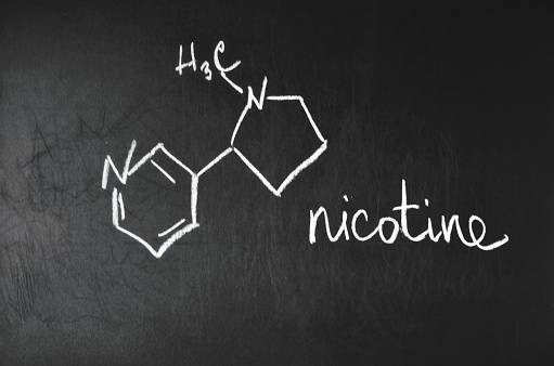 Nikotin, Zat Berbahaya pada Rokok Tembakau  Foto:Unsplash