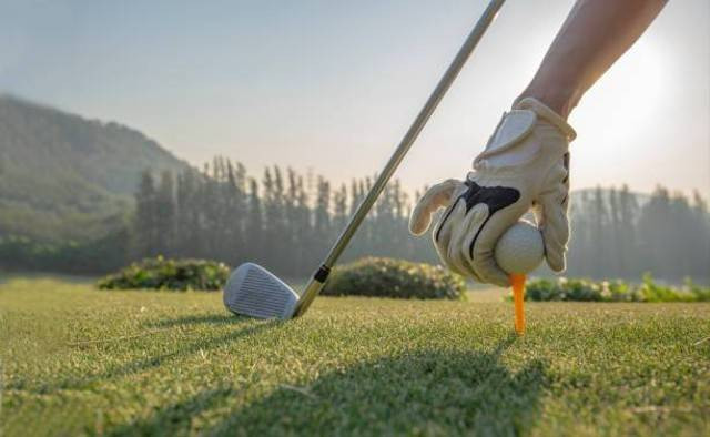 Jenis stick golf. Foto: Unsplash