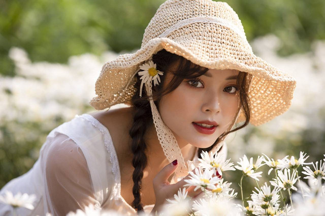 Ilustrasi cara merawat bunga krisan. Sumber foto Pixabay