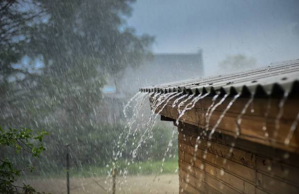 Curah Hujan, Foto: Unsplash.