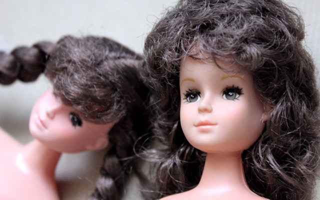 Ilustrasi boneka. Foto: Catherine Zibo/Shutterstock