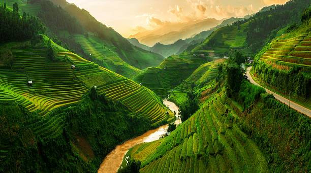 Ilustrasi Caption untuk Postingan IG tentang Alam. Foto: Unsplash.
