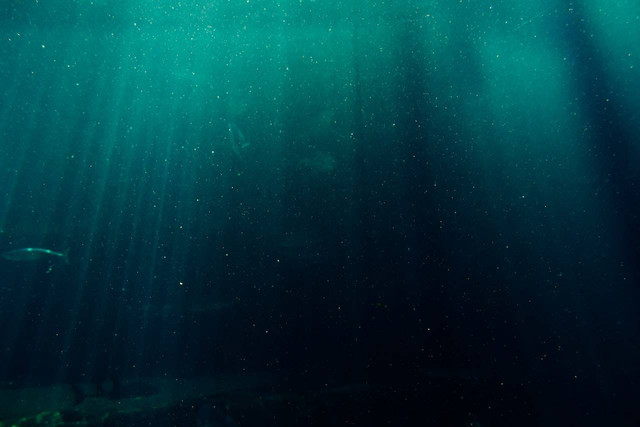 Ilustrasi 5 Upaya Pemanfaatan Laut dalam Meningkatkan Perekonomian. Sumber: Pexels.com/Blaque X