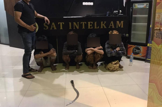 Beringasnya Gangster di Surabaya: Serang Warkop hingga Lukai Polisi