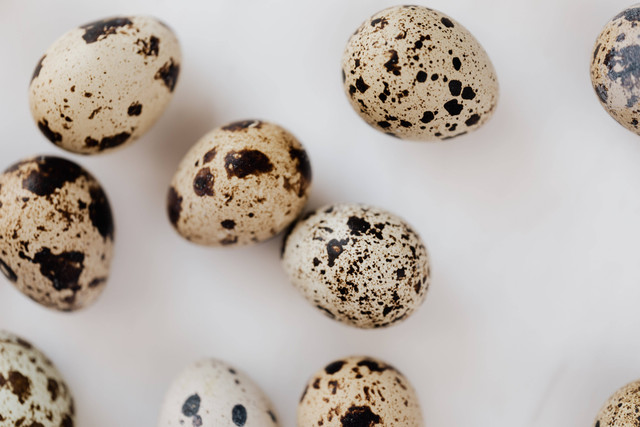 Ilustrasi telur puyuh. Foto: Pexels.com