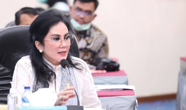 Anggota Komisi III DPR Fraksi NasDem, Ary Egahni Ben Bahat Foto: NasDem