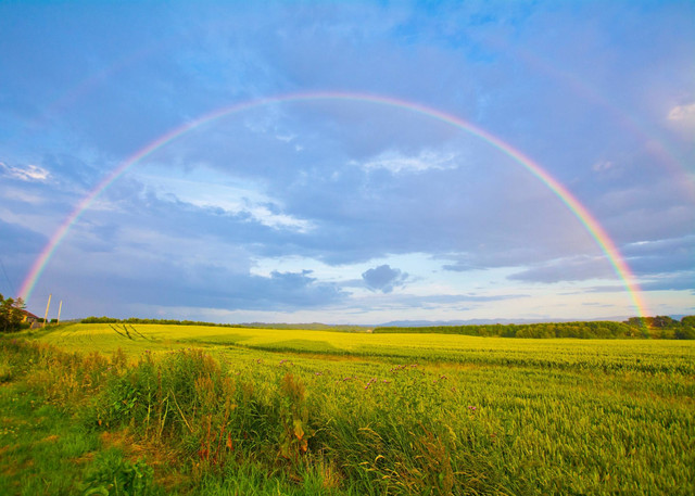 Ilustrasi Nama Salah Satu dari Tujuh Warna Pelangi (Foto: Stainless Images | Unsplash.com)