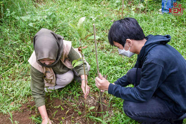 Reboisasi untuk kelangsungan hidup di masa depan. Foto: dokumen pribadi