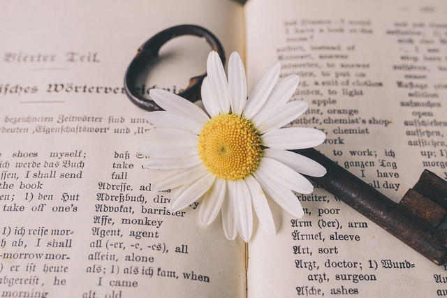 Ilustrasi Persamaan Kata Taraf, (Foto: suju-foto by https://pixabay.com/id/)