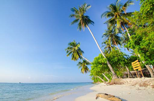 Ilustrasi waktu terbaik ke Karimun Jawa. Sumber Foto: Pixabay @teukuy