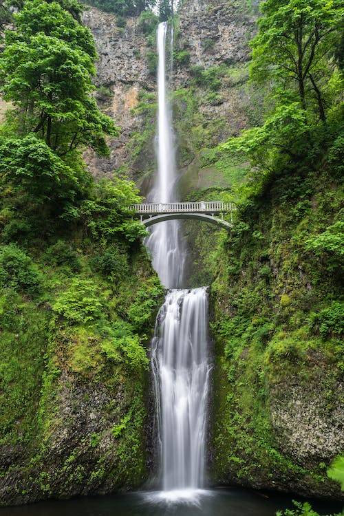 Curug Cipamingkis adalah salah satu curug favorit. Gambar hanya ilustrasi. Sumber: Pexels/Pixabay