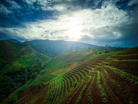 Ilustrasi wisata Kuningan untuk healing. Sumber Foto: Pixabay @wetyu