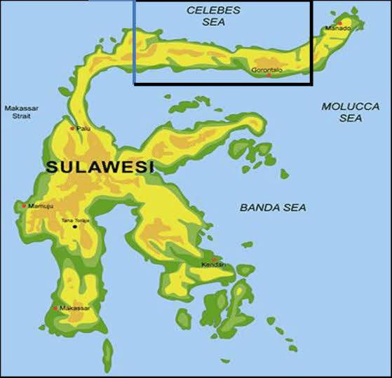 Ilustrasi peta Sulawesi. Sumber: Researchgate Journal
