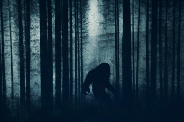 Ilustrasi bigfoot. Foto: Shutterstock