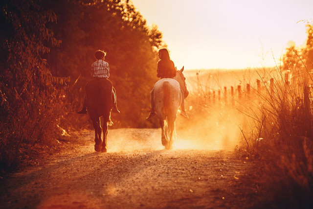 Ilustrasi : Friendzone . Sumber : Helena Lopes/Pexels.com