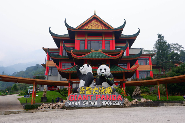 Rumah panda di Taman Safari Bogor. Foto: Darren Kurnia/shutterstock