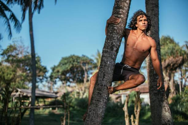Nama Musuh Tarzan yang Memburu Gorila, Foto: Unsplash.
