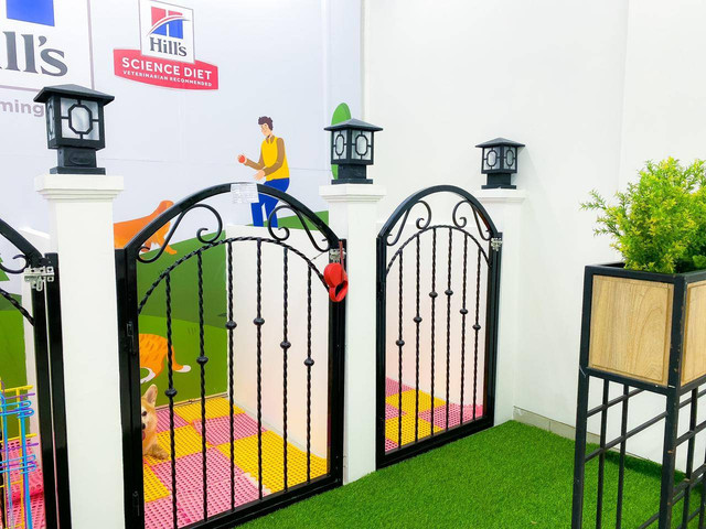 Jasa penitipan hewan yang moncer selama libur Hari Raya Idul Fitri di Petshop Indonesia. Foto: Pethsop Indonesia