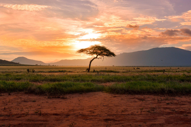 Ilustrasi Suku di Afrika Selatan. Sumber: Unsplash