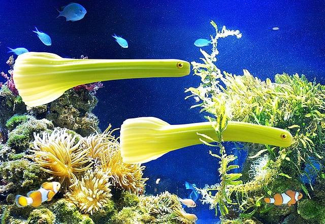 Ilustrasi macam macam tema aquascape (pixabay)