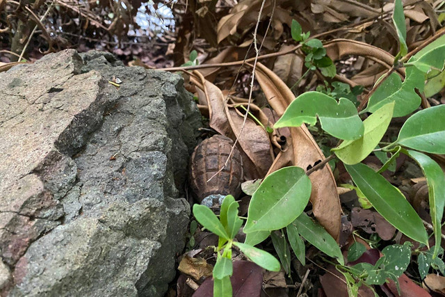 Petugas melakukan pengecekan terhadap benda diduga granat jenis nanas, di pinggir kebun Desa Durung, Kecamatan Mesjid Raya. Foto: Dok. Istimewa