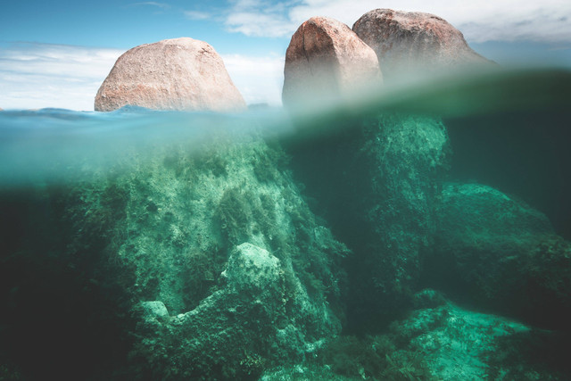 Ilustrasi: Alam Bawah Sadar. Sumber: Lachlan Ross/Pexels.com