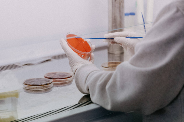 Ilustrasi Contoh Soal Konsep Mol, sumber foto (Trnava University) by unsplash.com