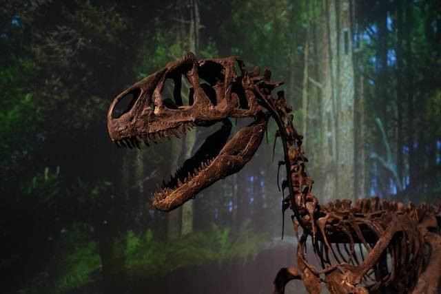 Ilustrasi replika Papa Dino Park Bandung,  Foto oleh Jesper Aggergaard di Unsplash