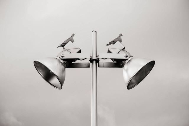Ilustrasi Egaliter. Sumber: Pexels.com/Pedro Figueras