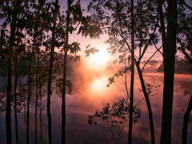 Ilustrasi wisata alam Jabodetabek. Sumber: Unsplash/Fajruddin Mudzakkir