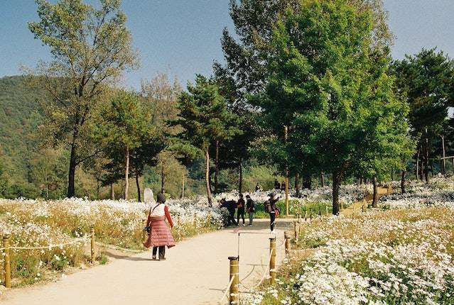 Ilustrasi Taman Lembah Dewata, sumber foto: 성두 홍/Pexels.com
