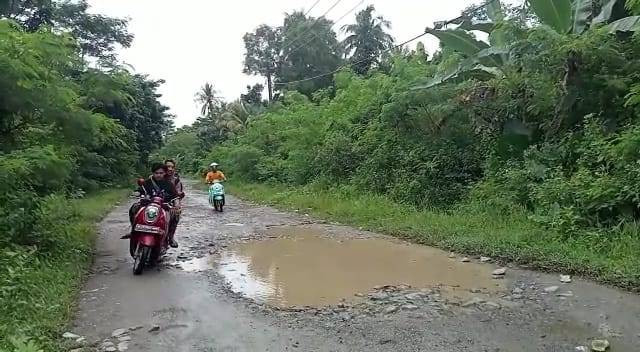Penampakan kondisi Jalan Taman Nasional Ujung Kulon di Desa Tamanjaya, Kecamatan Sumur, Pandeglang. Foto: kumparan