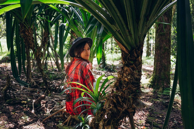 Ilustrasi cara menanam daun pandan di pot. Sumber foto: Pexels/Mikhail Nilov.