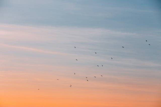 Ilustrasi Kata-Kata tentang Langit | Sumber: Unsplash/Leonard von Bibra