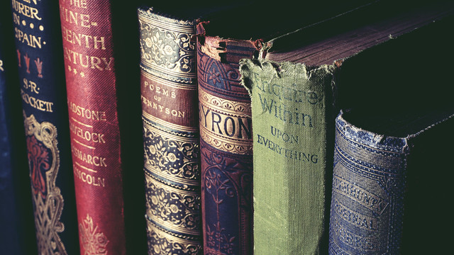 Ilustrasi Sinonim Literatur, Foto Pexels Suzy Hazelwood