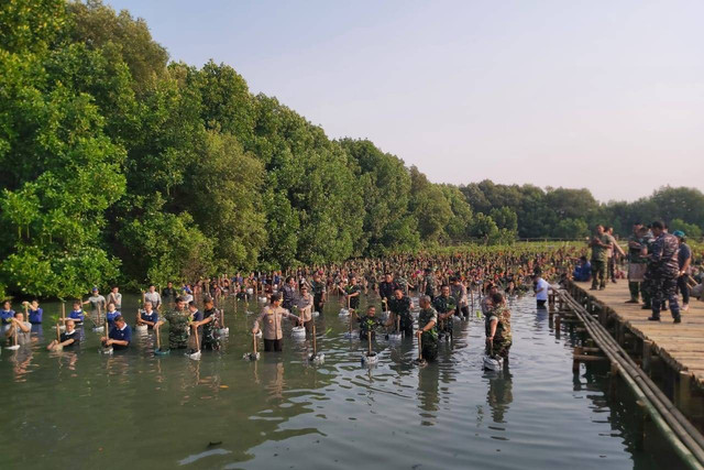 Suasana penanaman mangrove di Taman Wisata Alam, PIK, Jakarta Utara, Senin (15/5/2023).  Foto: Nadia Riso/kumparan